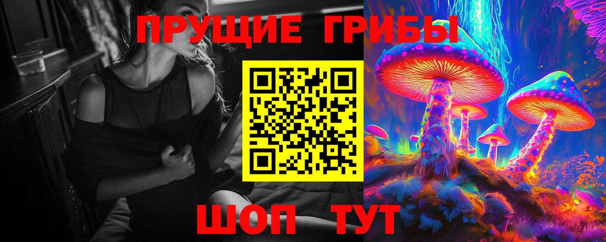 Псилоцибиновые грибы GOLDEN TEACHER Воркута